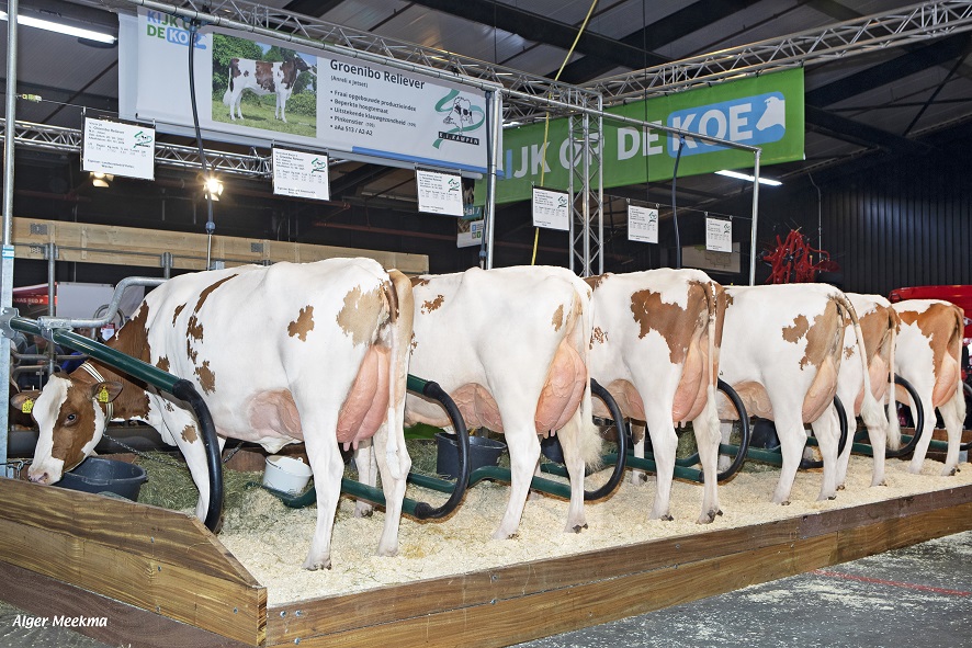 Reliever-Töchter beeindruckten in Hardenberg!