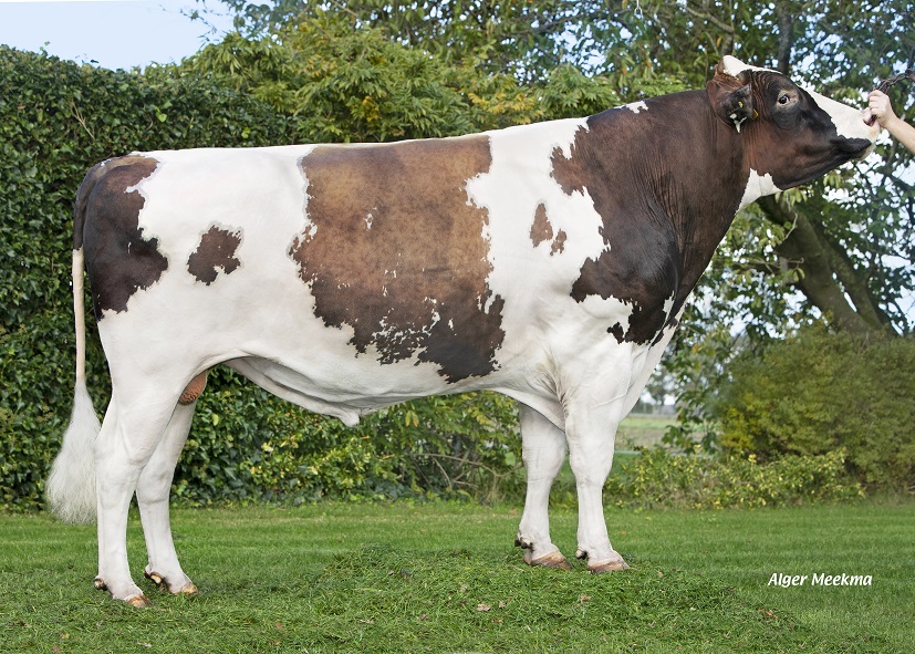 Reliever-Töchtergruppe: Die Auswahl ist getroffen!